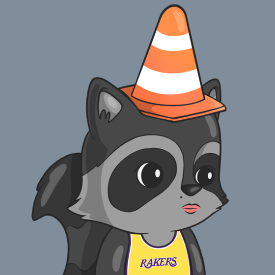 LookAtMyRaccoon #6922