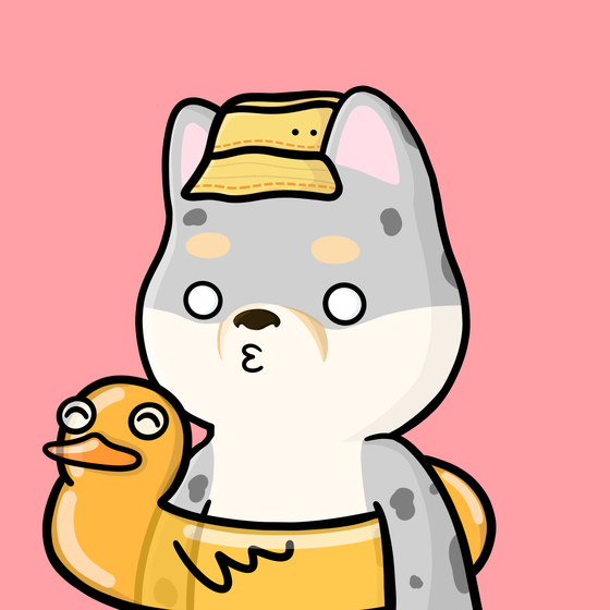 Shibe #4434