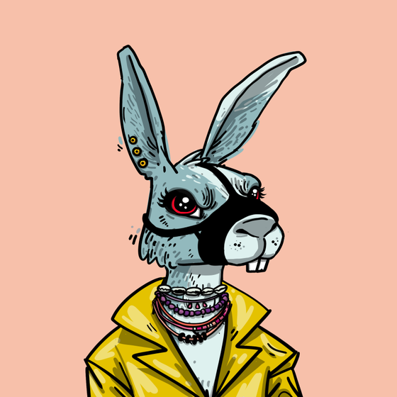 Kool Rabbits #431