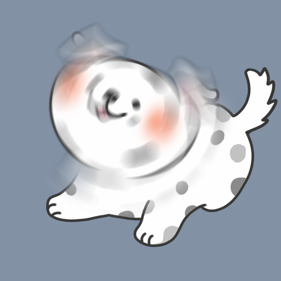 DogDrill#245