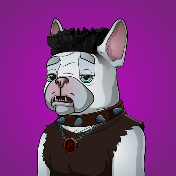 Bohemian Bulldog #8835