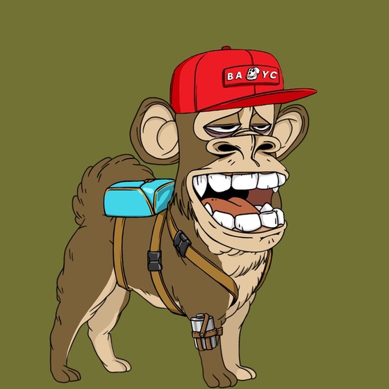Kennel Ape #9945