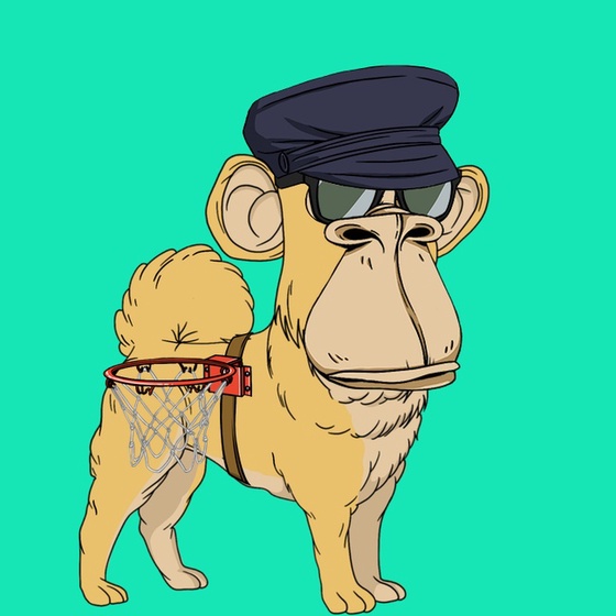Kennel Ape #8095