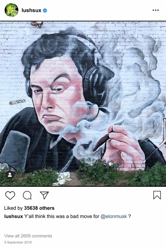 Lushsux #3227 - Mural Elon Musk