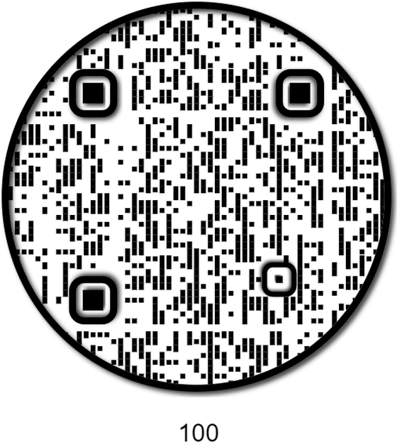 APE QR #100