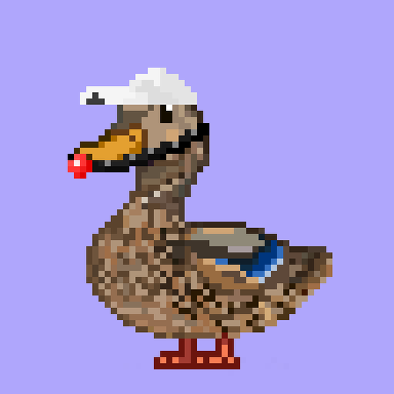 Mallard #889