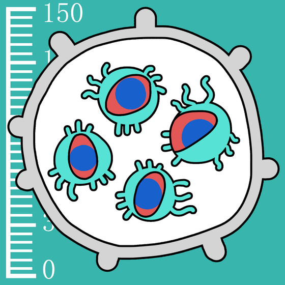 656