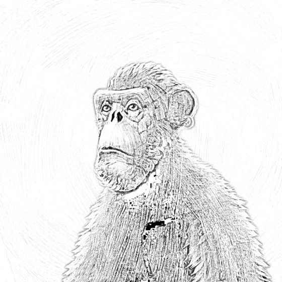 Sketchy Old Ape #534