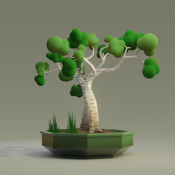 Bonsai #6772