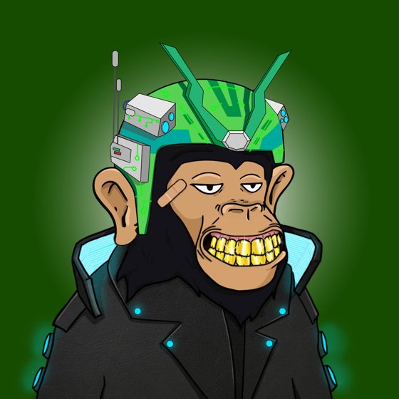 Seoul Ape #1054