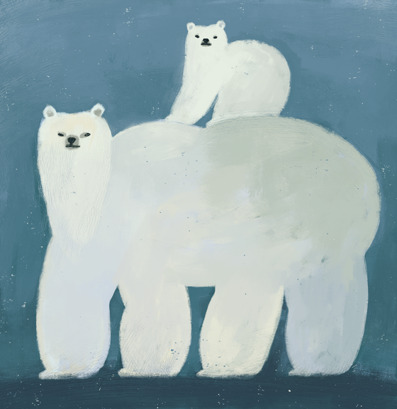 a Polar Bear Family