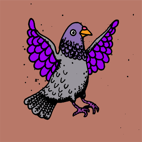 Hood Pigeon #933