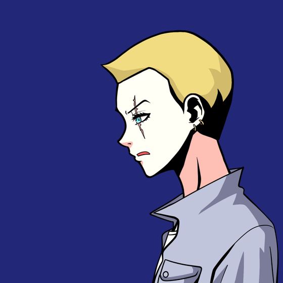 Project Kaito #4102