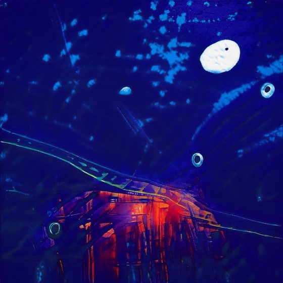 how the jellyfish jumped up the mountain