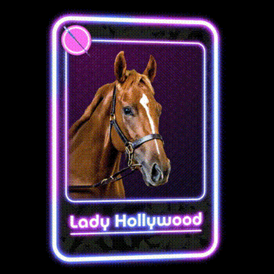 Lady Hollywood Jockey Club #96