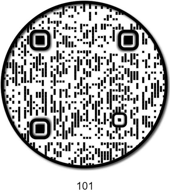 APE QR #101