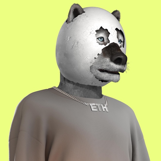 E.G.G Collective #588