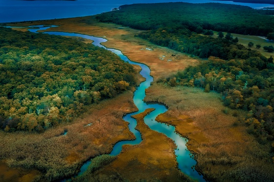 Rattle Snake Creek