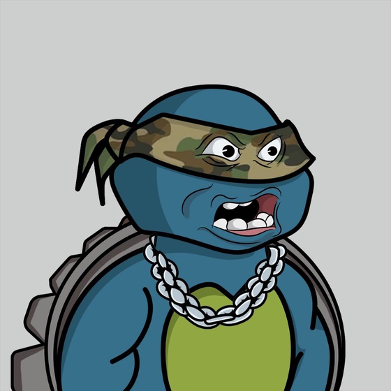 Degen Ninja Turtle #614