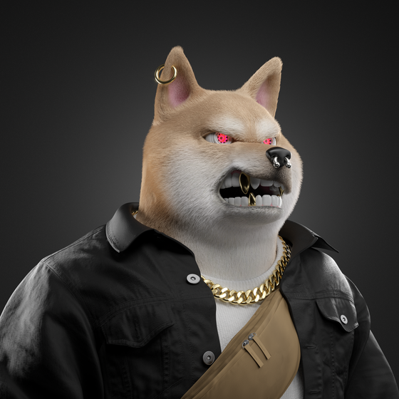 Shiba #5932