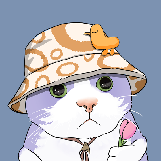 Puzzled cat #1875