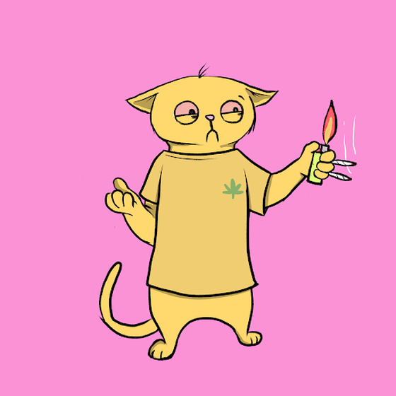 Blazed Cat #824