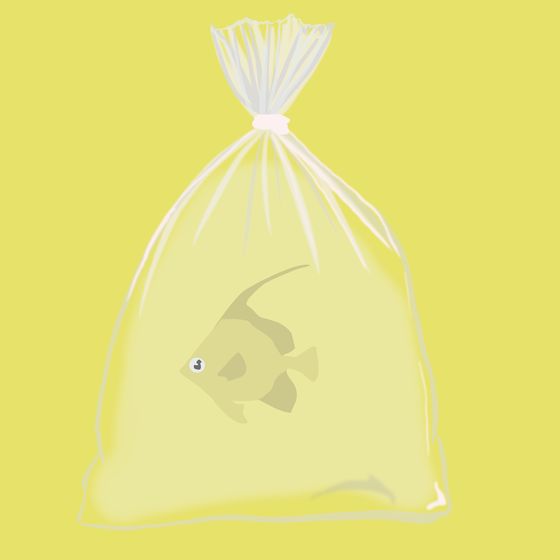 Feesh #3163