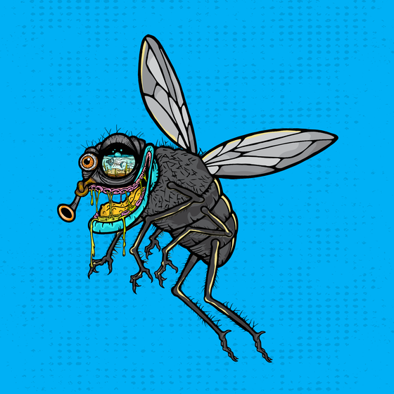 Funky Fly #4866