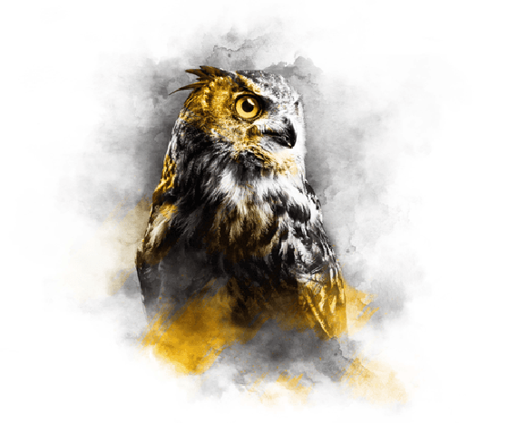 GOLD SERIES - GREAT HORNED OWL