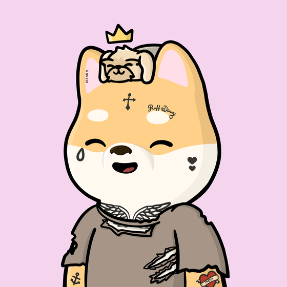 Shibe #3737