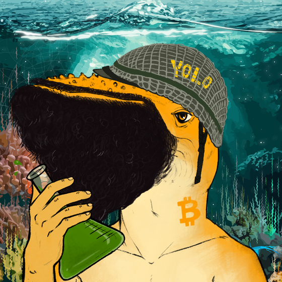 Crypto Whale #67