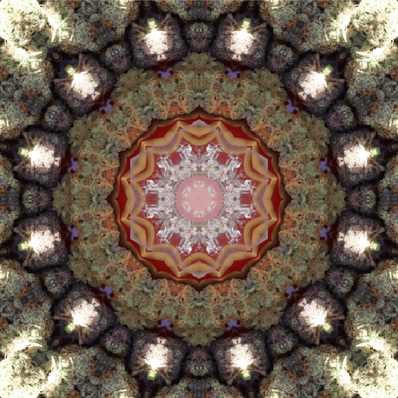 "POWERS OF 420", 1/1, #001 of Cannabis Kaleidoscopes Collection