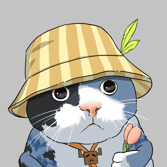 Puzzled cat #9650
