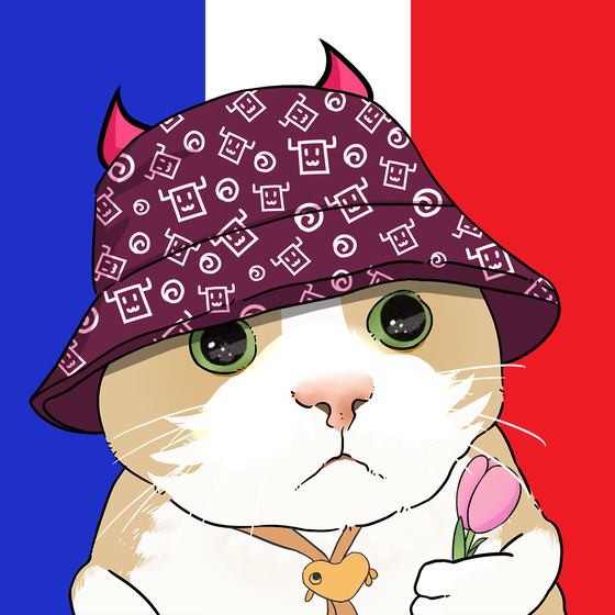 Puzzled cat #929