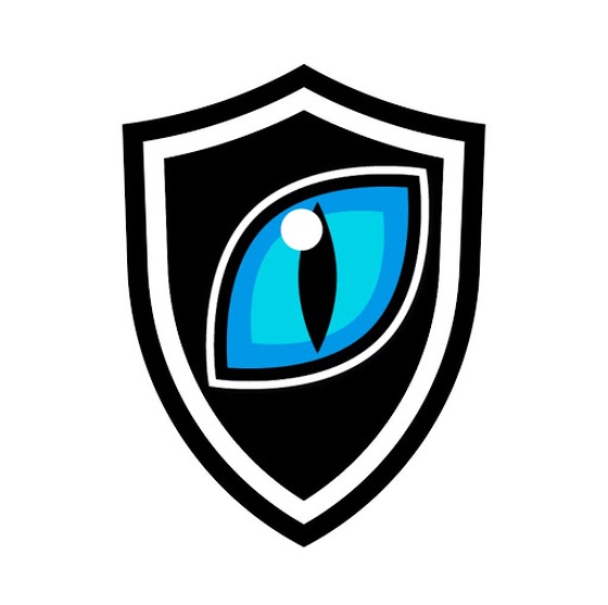 Shield Art #15 - Blue Cat Eye 1