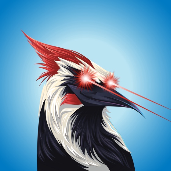 #2674 Woodpecker