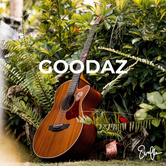 Goodaz (Lyric Video) by Evaflow - Artwork #13/50