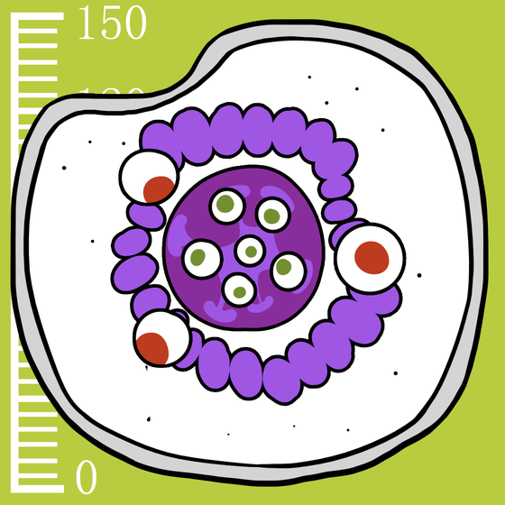 645