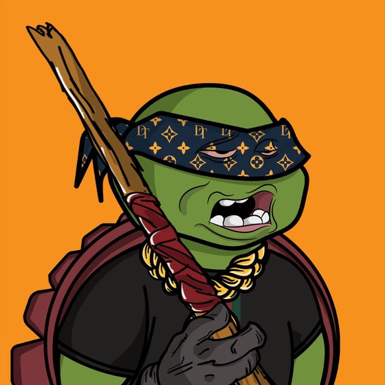 Degen Ninja Turtle #2570