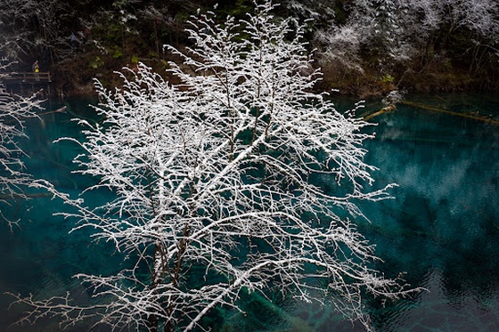 Seasons of Jiuzhaigou #35