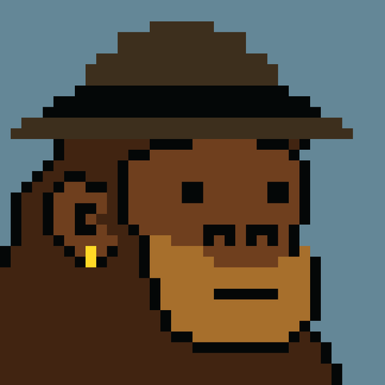 Kong Punk #04258