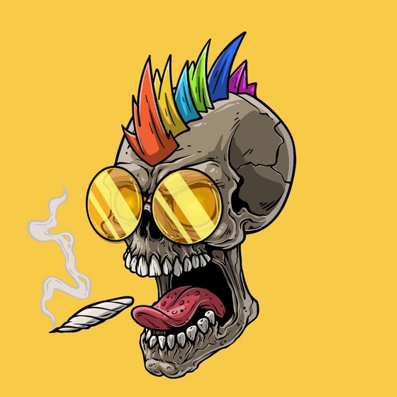 CrazySkull #2566