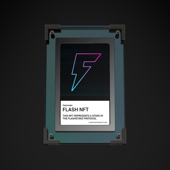 FlashNFT #7