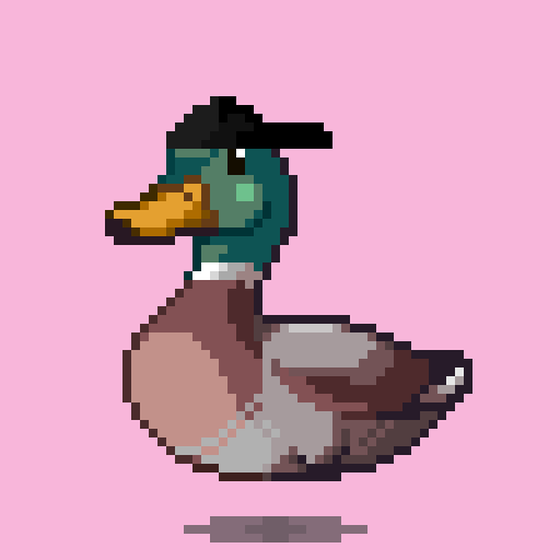 Mallard #8108