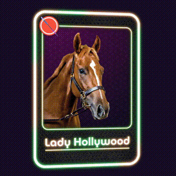 Lady Hollywood Jockey Club #72