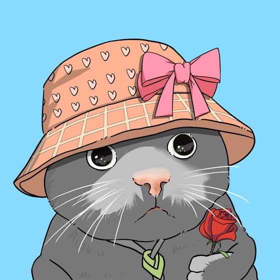 Puzzled cat #4577