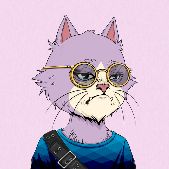 Angry Cat #1965