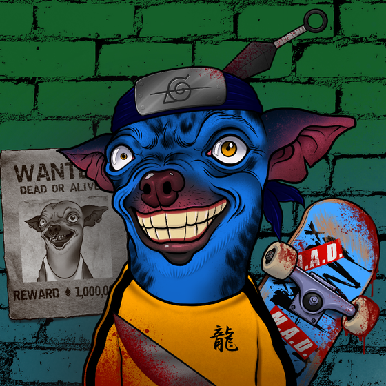 Mad Chihuahua #1336