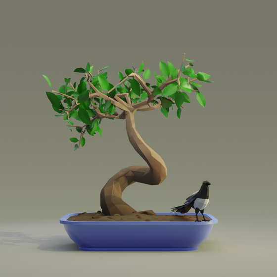 Bonsai #6047