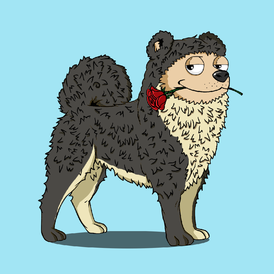 y00ts Canine Club #9811